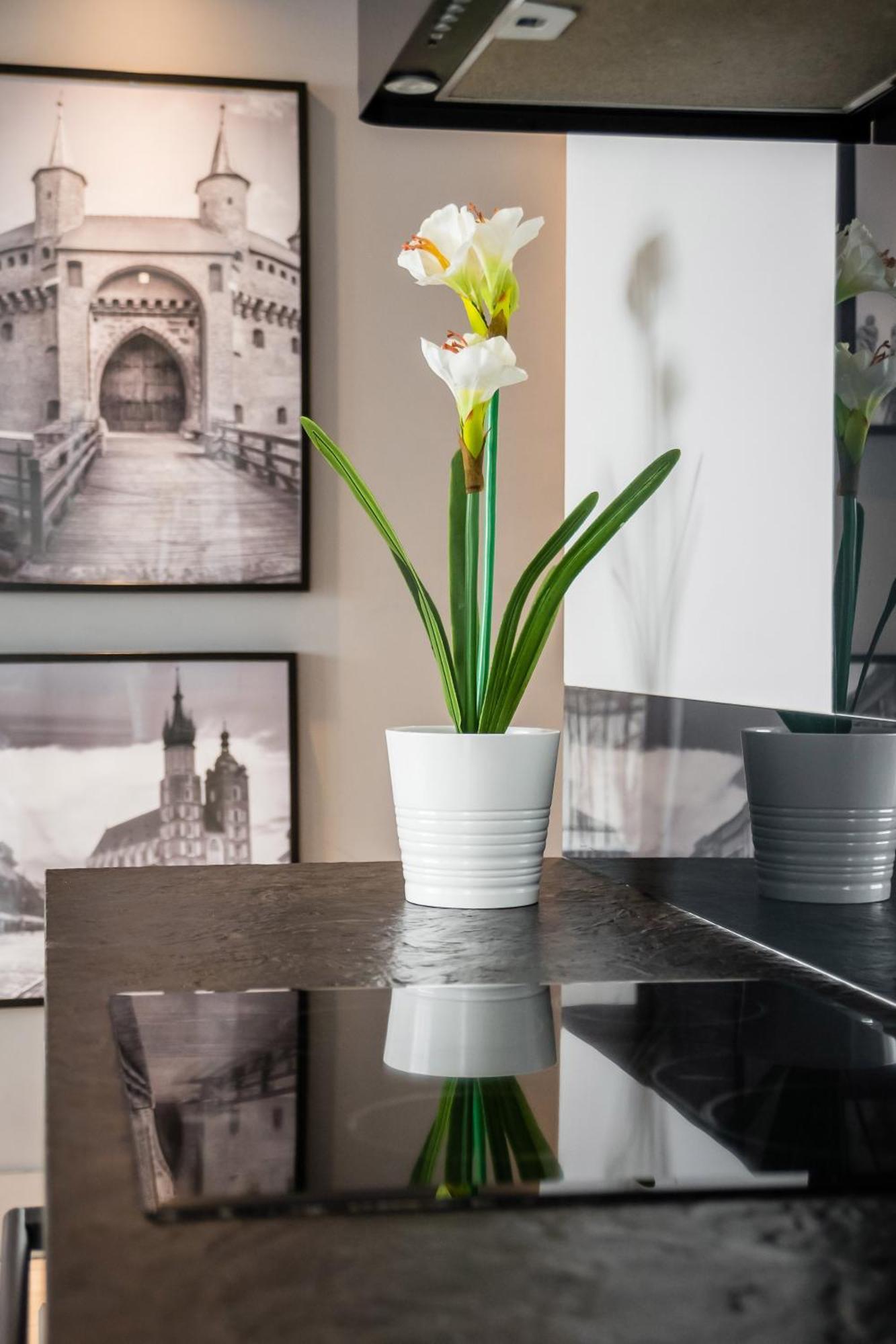 Apartment Krzyza